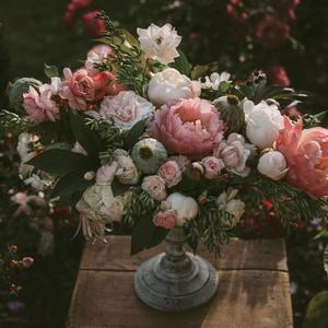 人与狗性交人A片
